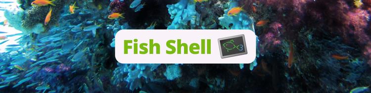 Fish Shell