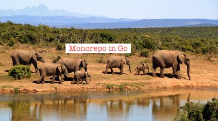 Building a Monorepo in Golang