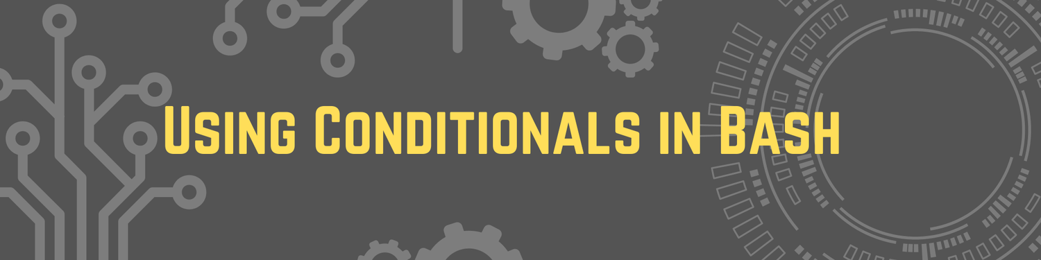 Using Conditionals in Bash
