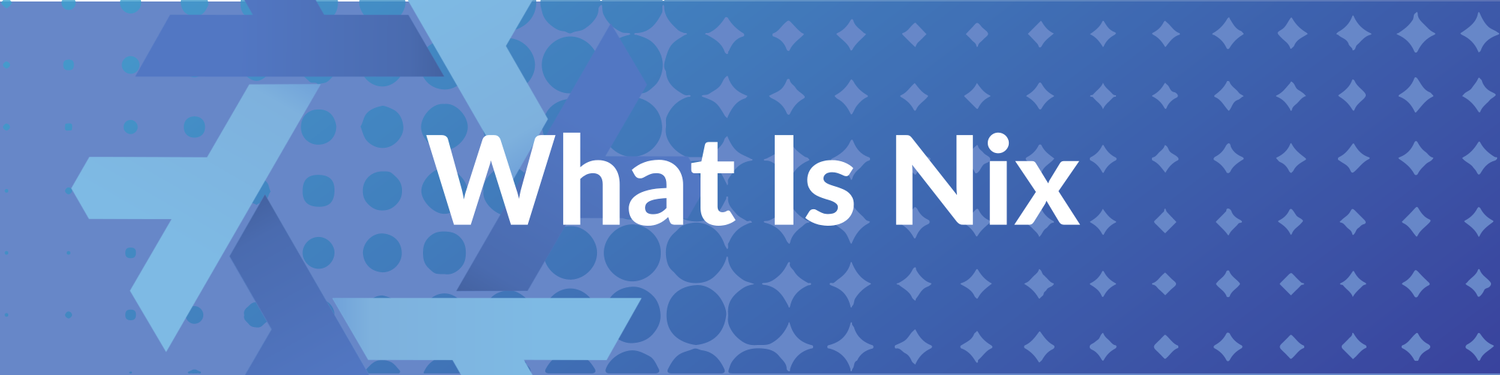 Nix Turns 20. What the Hell Is It?