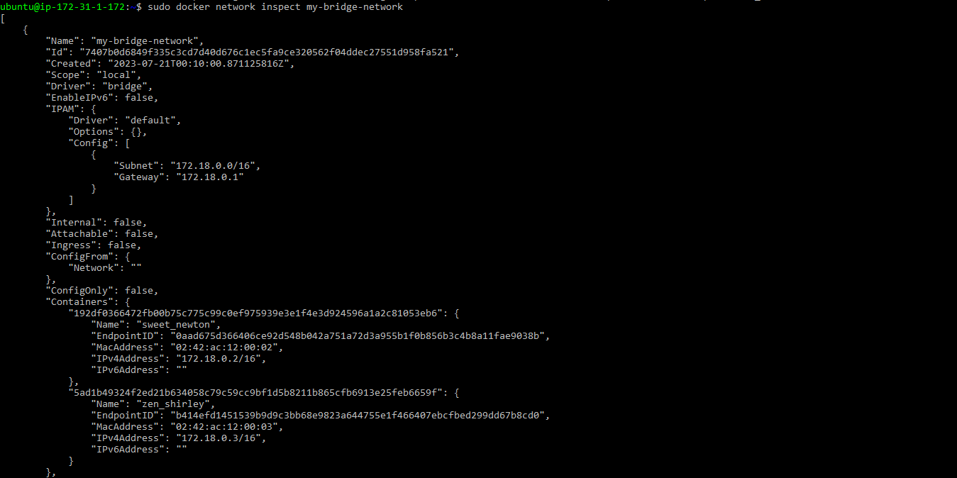 Figure 4. Docker network inspect command
