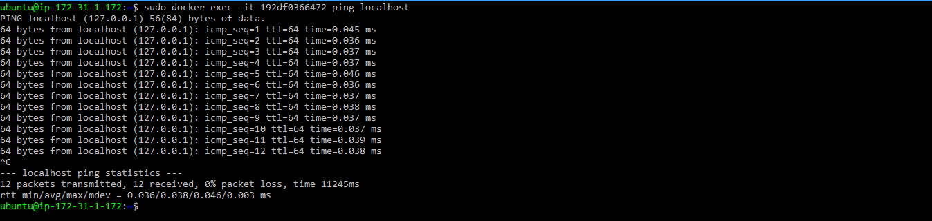 Figure 5. ping command