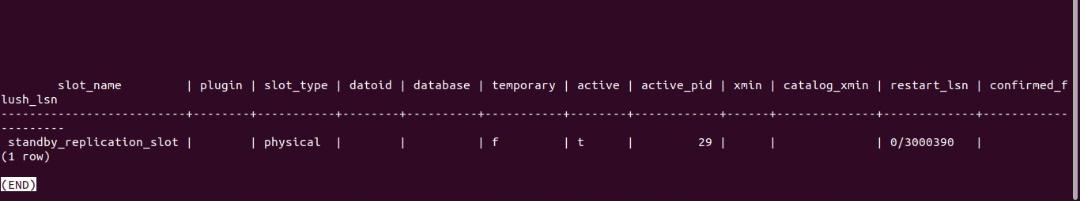 successful replications lot output