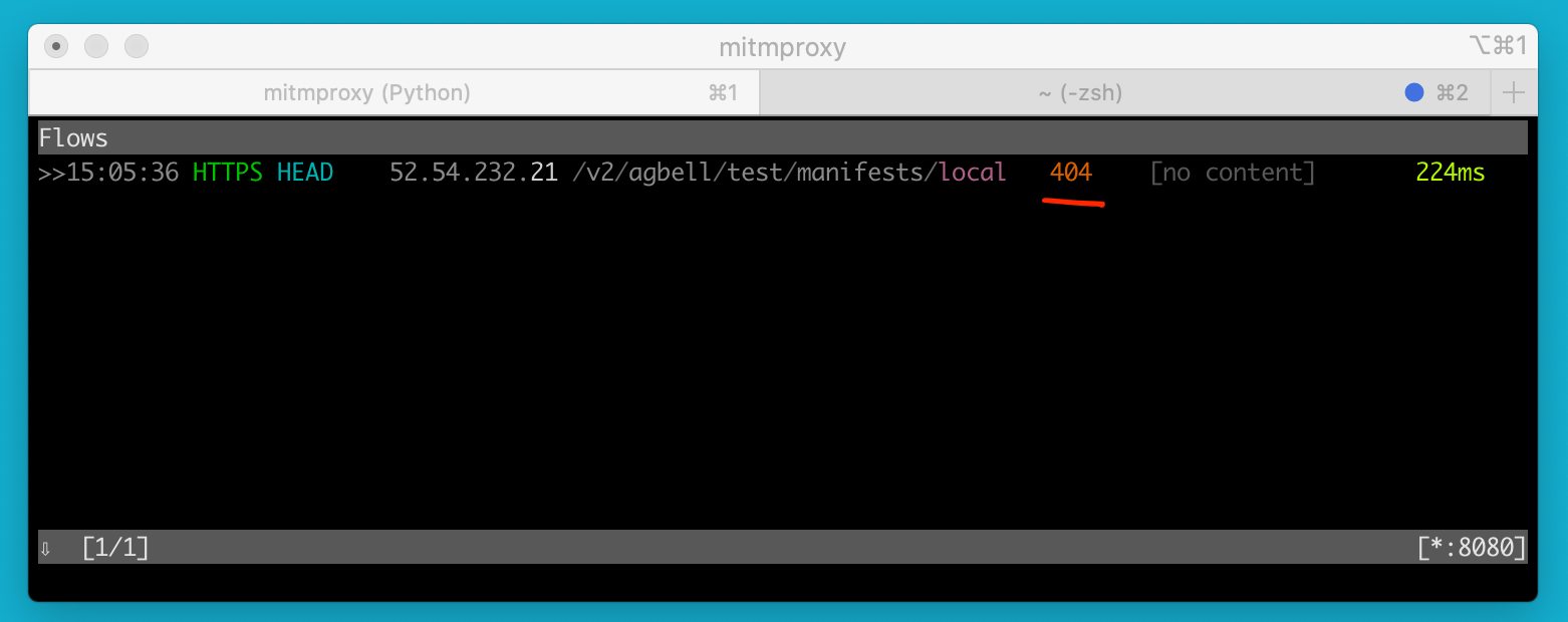 404 on mitmproxy