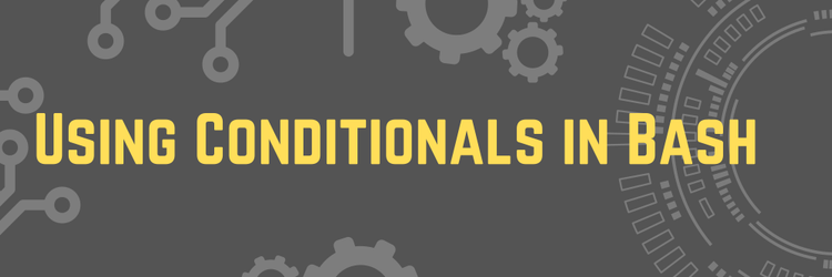 Using Conditionals in Bash