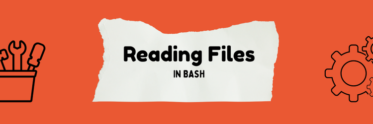 Using Bash to Read Files