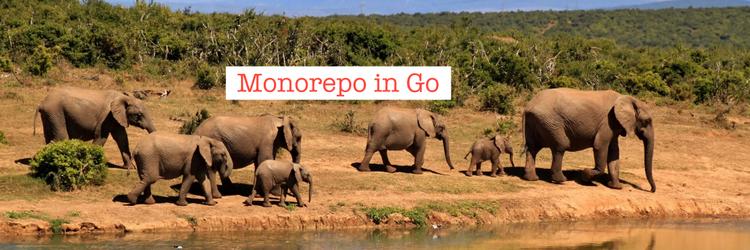Building a Monorepo in Golang