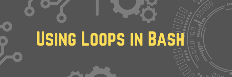 Using Loops In Bash