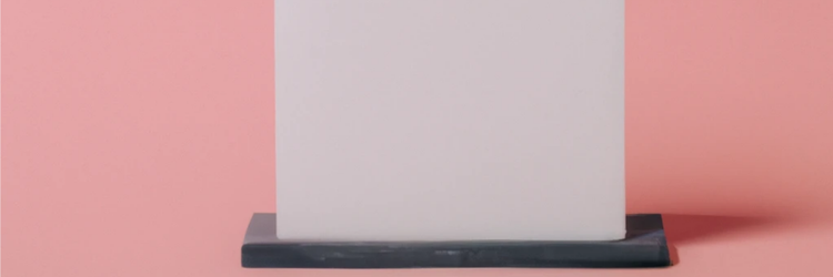 Earthly used by Phoenix Project