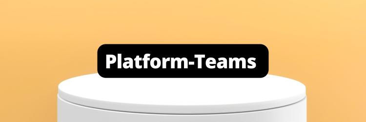 How a Platform Team Helps Your Developers
