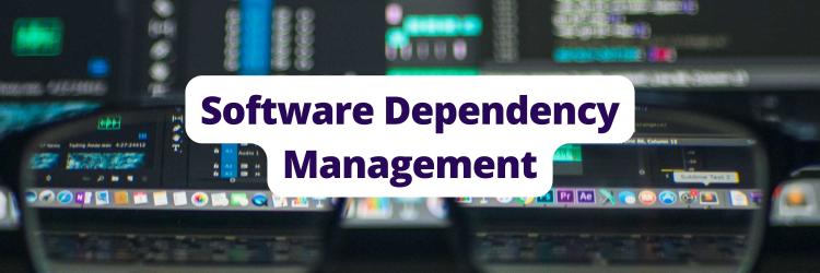 Understanding Software Dependency Management