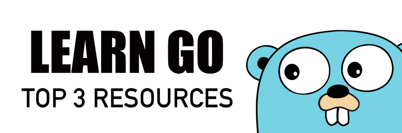 Why Learn Go Top 3 Resources For Learning GoLang - Earthly Blog