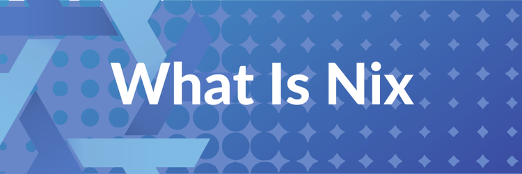 Nix Turns 20. What the Hell Is It?