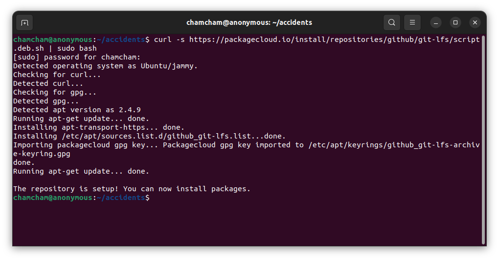 Install Git Lfs Debian