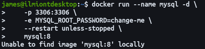 docker mysql db example