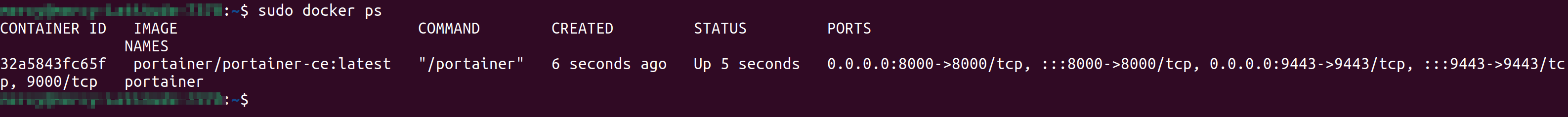 Confirming portainer is up and running.