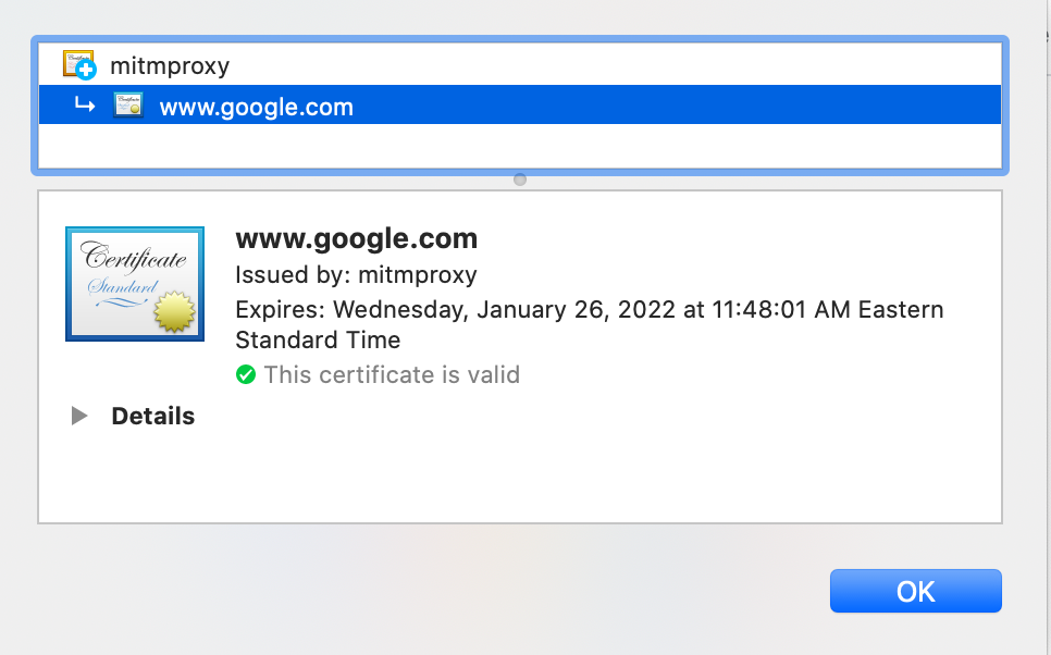 Google.com now shows a mitmproxy signed certificate