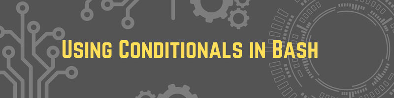 Using Conditionals in Bash