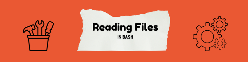 Using Bash to Read Files