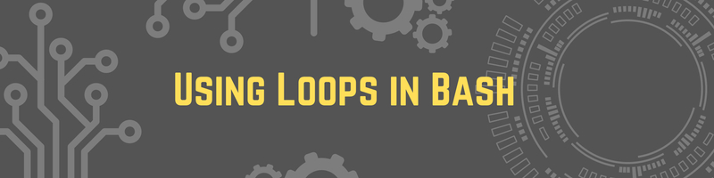 Using Loops In Bash