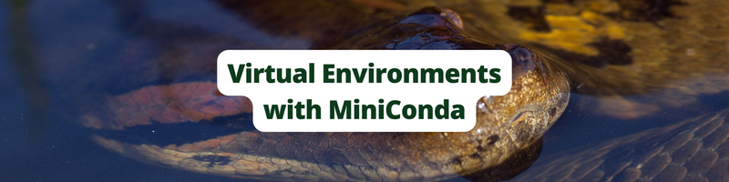 How to Create a Python Virtual Environment with Miniconda