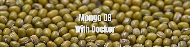 Using MongoDB with Docker