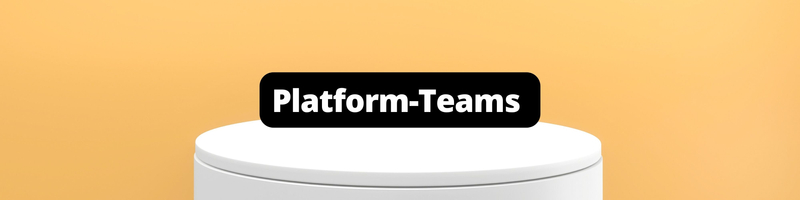 How a Platform Team Helps Your Developers