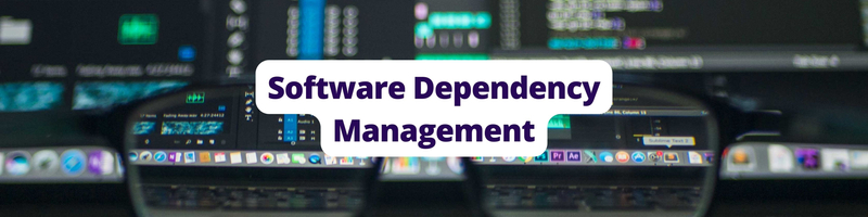 Understanding Software Dependency Management